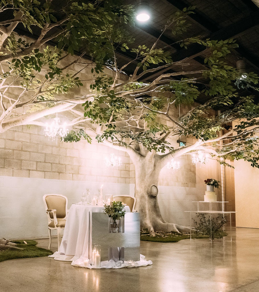 Unique tree styling cast over a wedding ceremony's signing table.